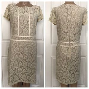Ava & Aiden Cream Cotton Lace Overlay Sheath Dress